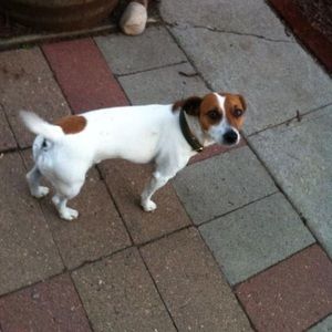 Meet your Posher, Brenda